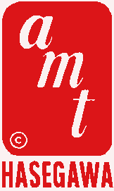 amt-h logo